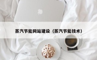 河北蒸汽节能网站建设（蒸汽节能技术）